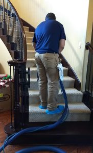 Carpet Cleaning in Northwest Arkansas, Wizard Carpet Cleaning