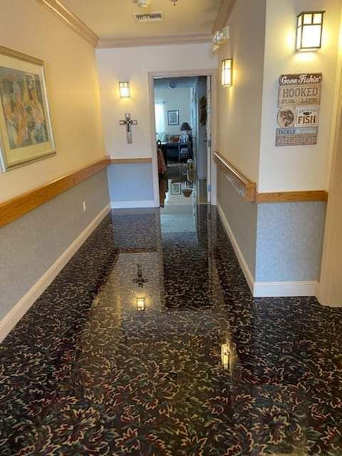 Professional carpet cleaning by Wizard Carpet Care in Rogers, Arkansas